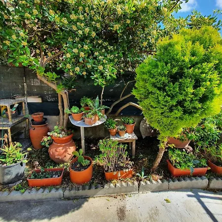 House With Garden In * Marina Di Pisa